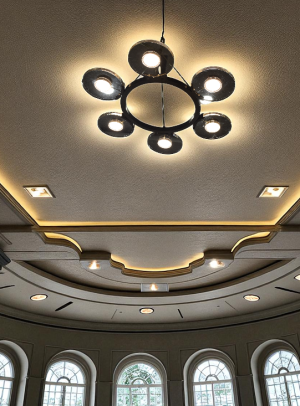Screenshot_32 Modern 6-Light LED Chandelier with Transparent Disc Shades